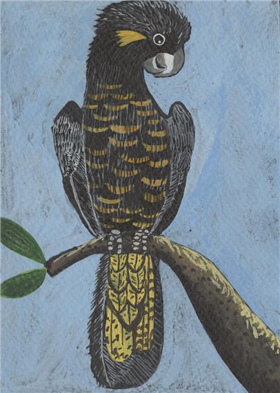 Sophie Charalambous | Yellow tailed black cockatoo after George Raper ...