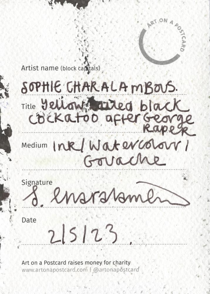 Sophie Charalambous | Yellow tailed black cockatoo after George Raper ...