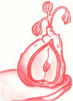 Bloom - Kora Moya Rojo