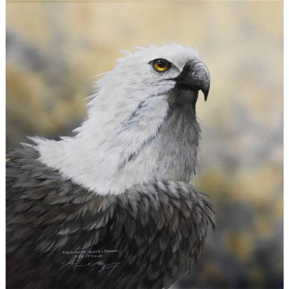 Paul Margocsy | The Eagle | MutualArt
