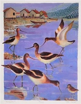 Avocets - Teri Slotkin