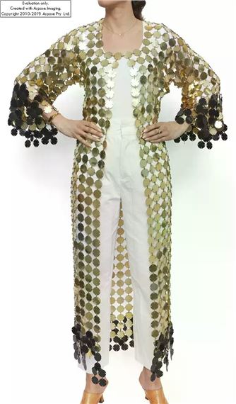 slim fit dress slacks The iconic silver Sparkle disc dress – Rabanne main image 0
