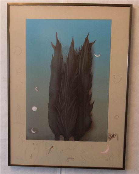 (洋書)【Bruno Bruni Farblithographien ブルーノ・ブルーニ リトグラフ作品集(1976-1988)】 : Bruno Bruni: Farblithographien: 9783921785447: Bruni