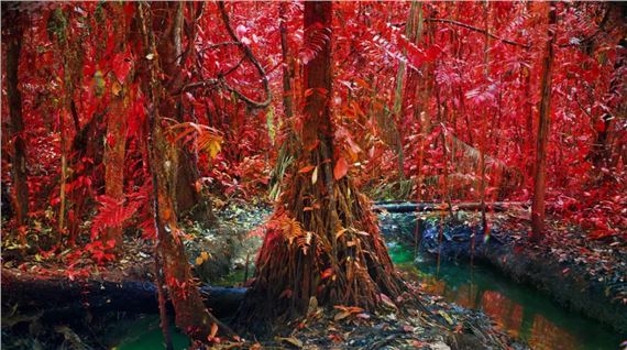 Dear Earth: Art and Hope in a Time of Crisis - Southbank Centre, Hayward Gallery