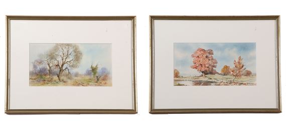 J. R. Goodman | Sunset on the Broads | MutualArt