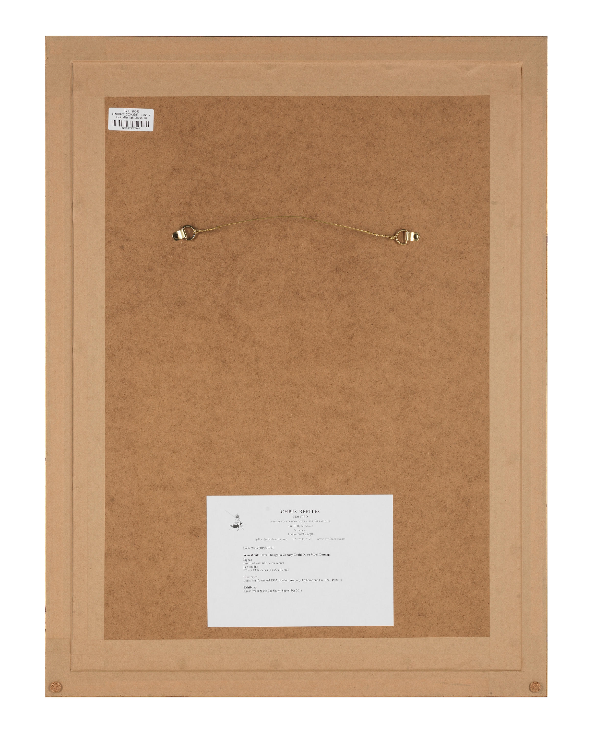 Artwork by Louis Wain, Who Would Have Thought a Canary Could Do So Much Damage!, Made of ink and pen and ink on paper