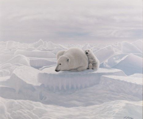 Resting on the ice pack by Lorenzo Fracchetti, 2011