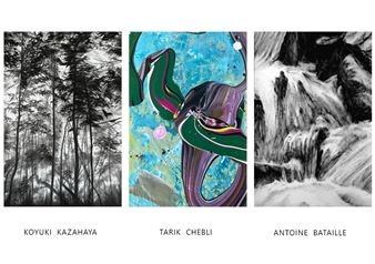 Fulgurance de Nature - Galerie Akié Arichi