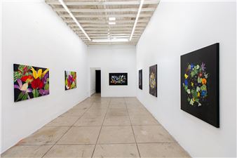 Velia De Iuliis: Perspection - Ochi Aux