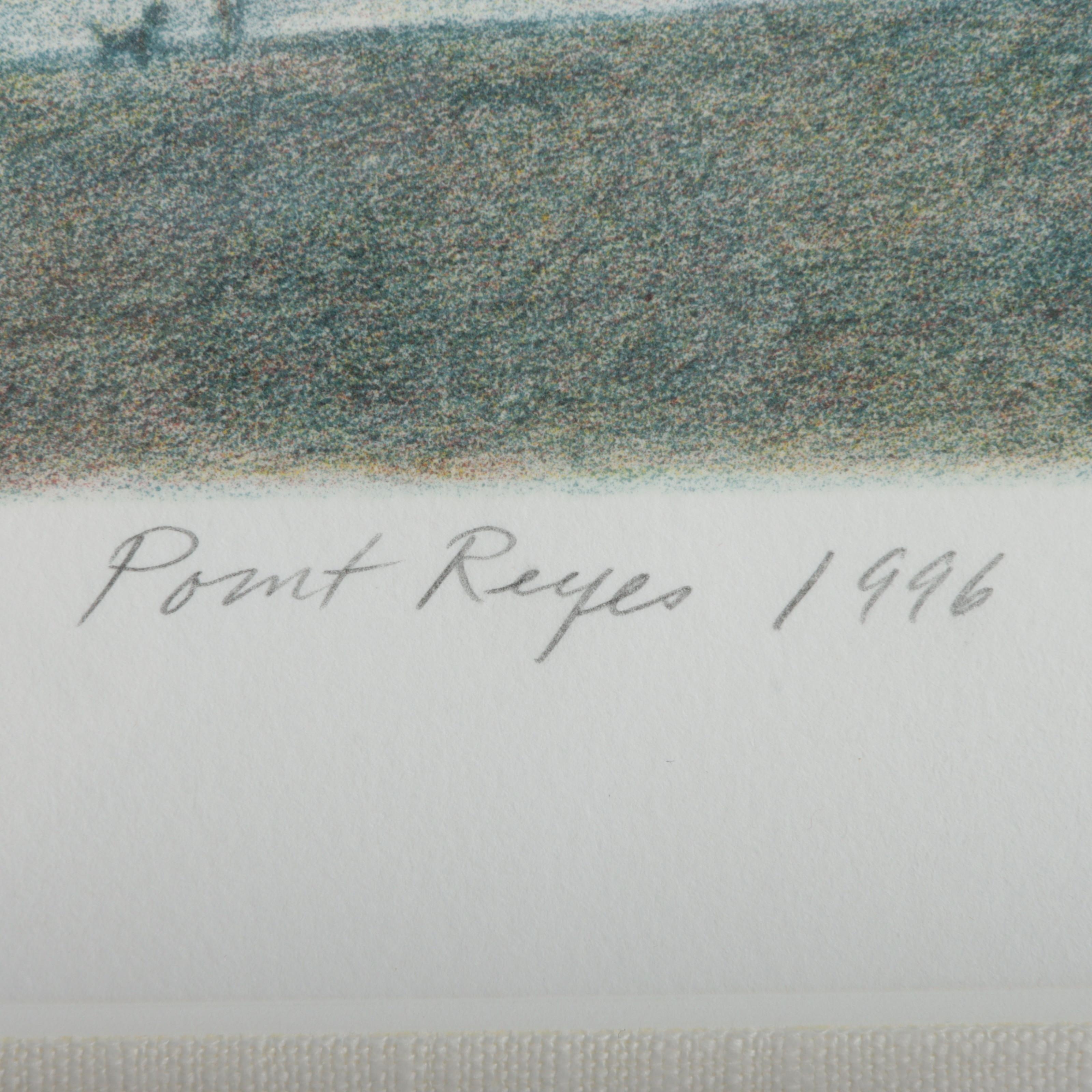 Harold Altman | Point Reyes, 1996 (1996) | MutualArt