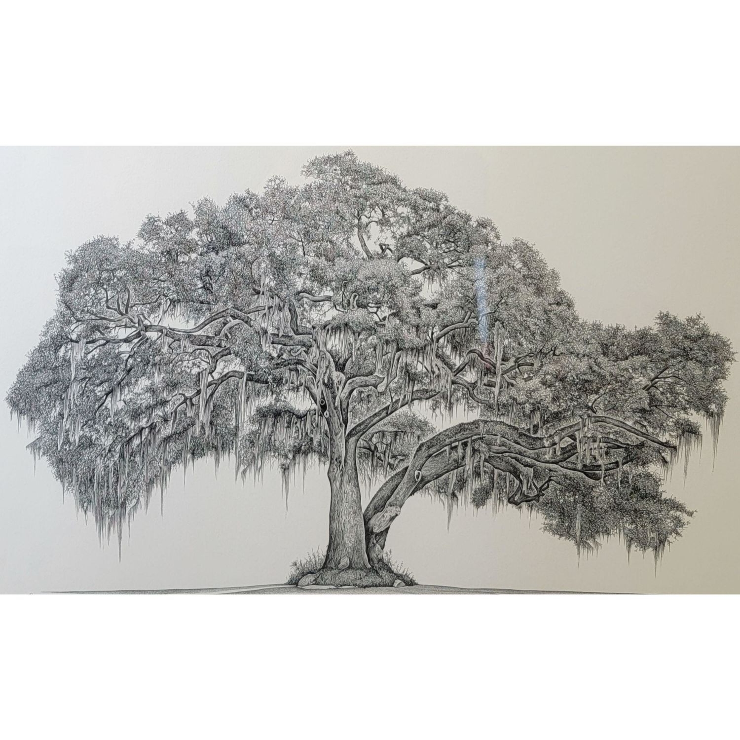 Artwork by Stephen Malkoff, Kate’s Tree Amelia Island FLorida, Made of Print