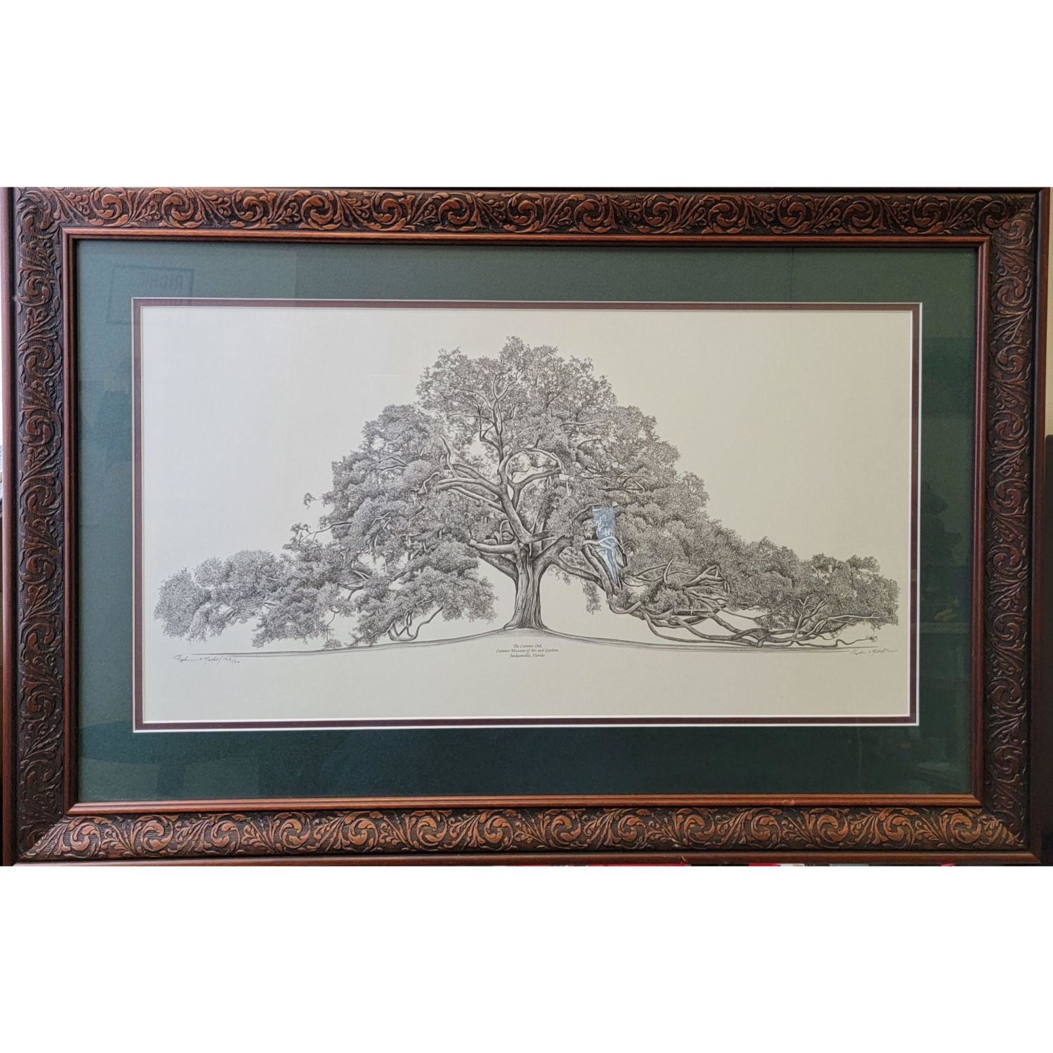 Artwork by Stephen Malkoff, The Cummer Oak Tree Jacksonville Florida, Made of Print
