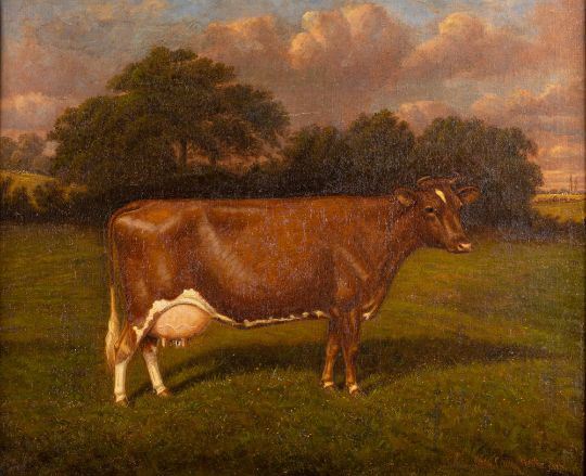 W. A. Clank | ) Portrait of a cow 'Stagenhoe Rose of Gold' (1915 ...