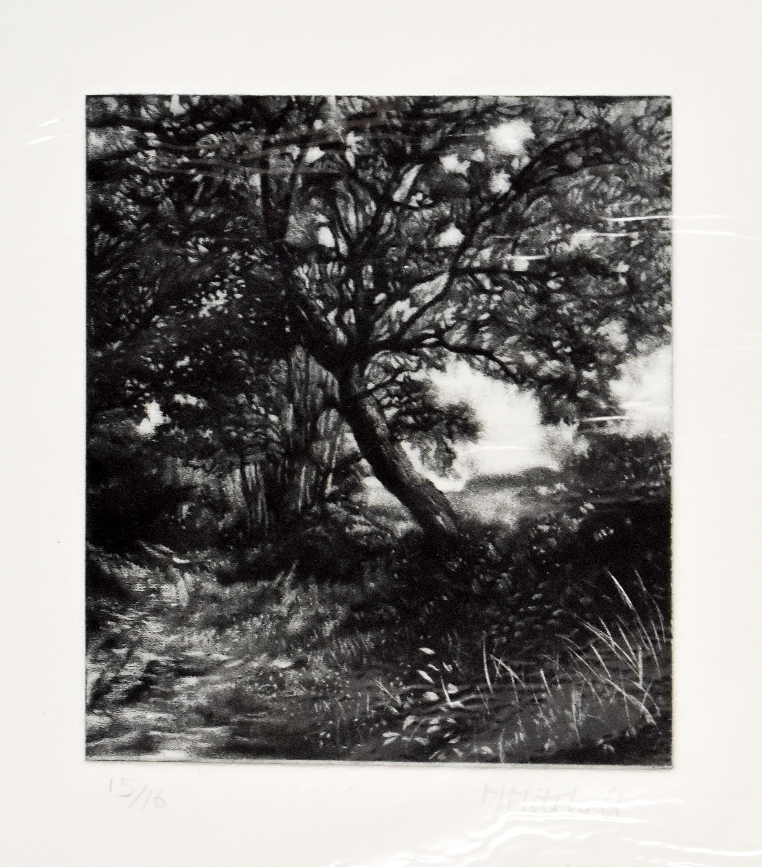 Artwork by Martin Mitchell, Path through Woodland, Made of Mezzotint