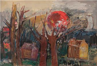 Zele rode zon - Marcel  Van  Driessche