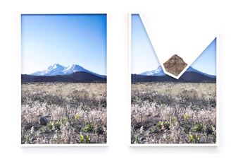 Richard T. Walker: Never Here / Always There - Fraenkel Gallery