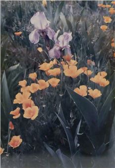 ''POPPIES AND IRIS'' - John Clement