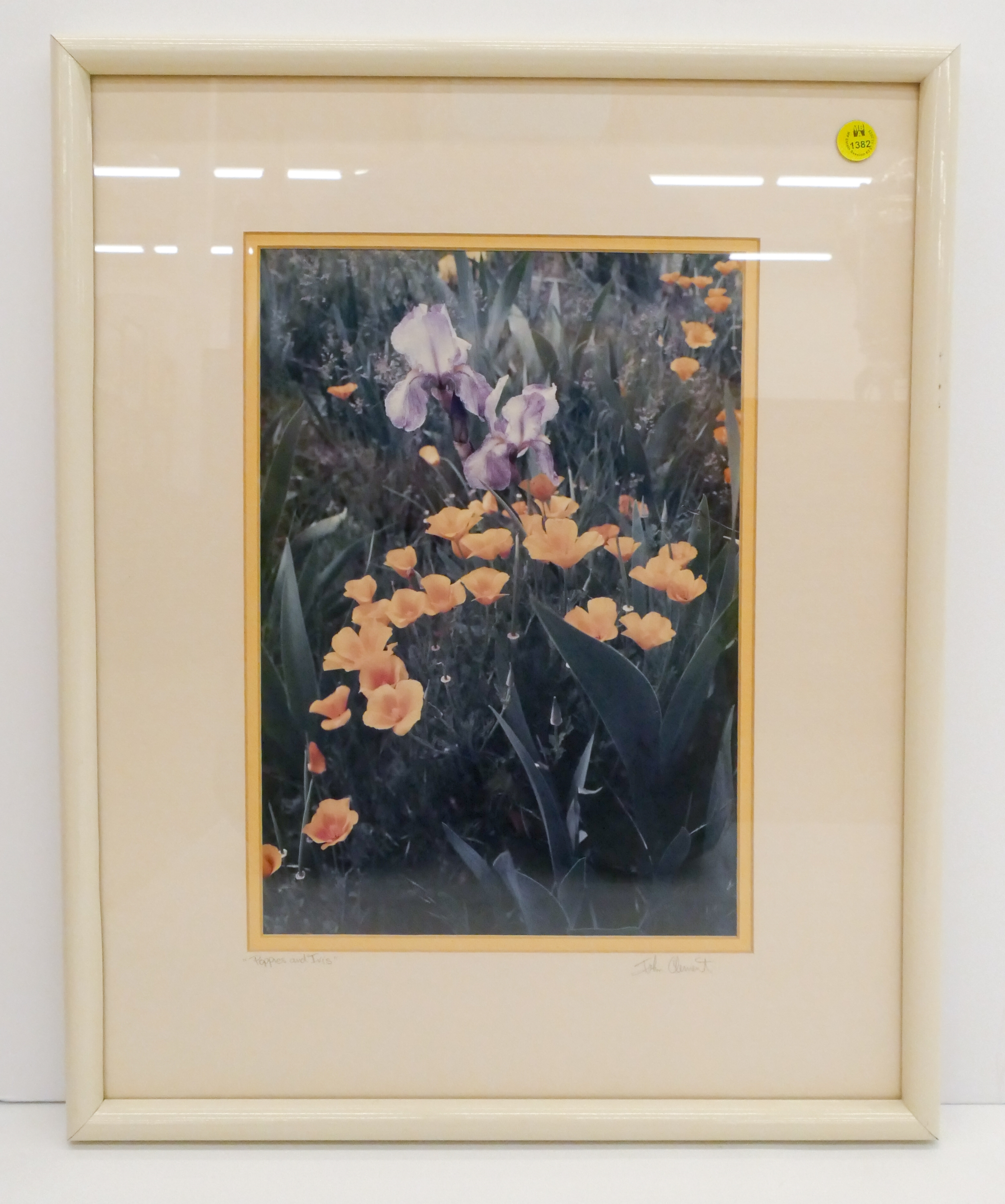 Artwork by John Clement, ''POPPIES AND IRIS'', Made of Color Photograph