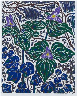 ''TRILLIUMS AND VINE' - Stephan Soihl