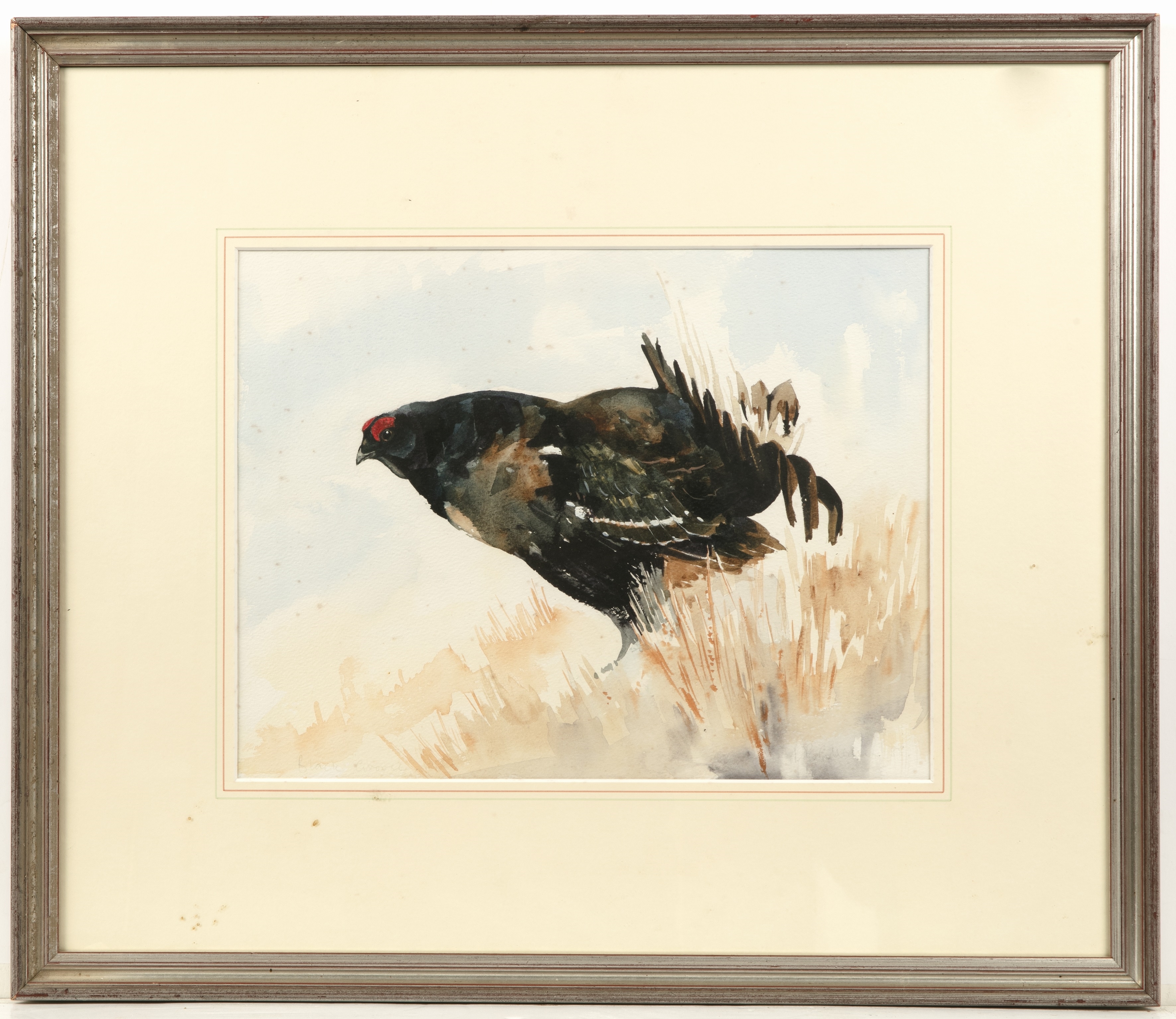 Artwork by David Cullearn, A pheasant in a landscape setting, Made of watercolour