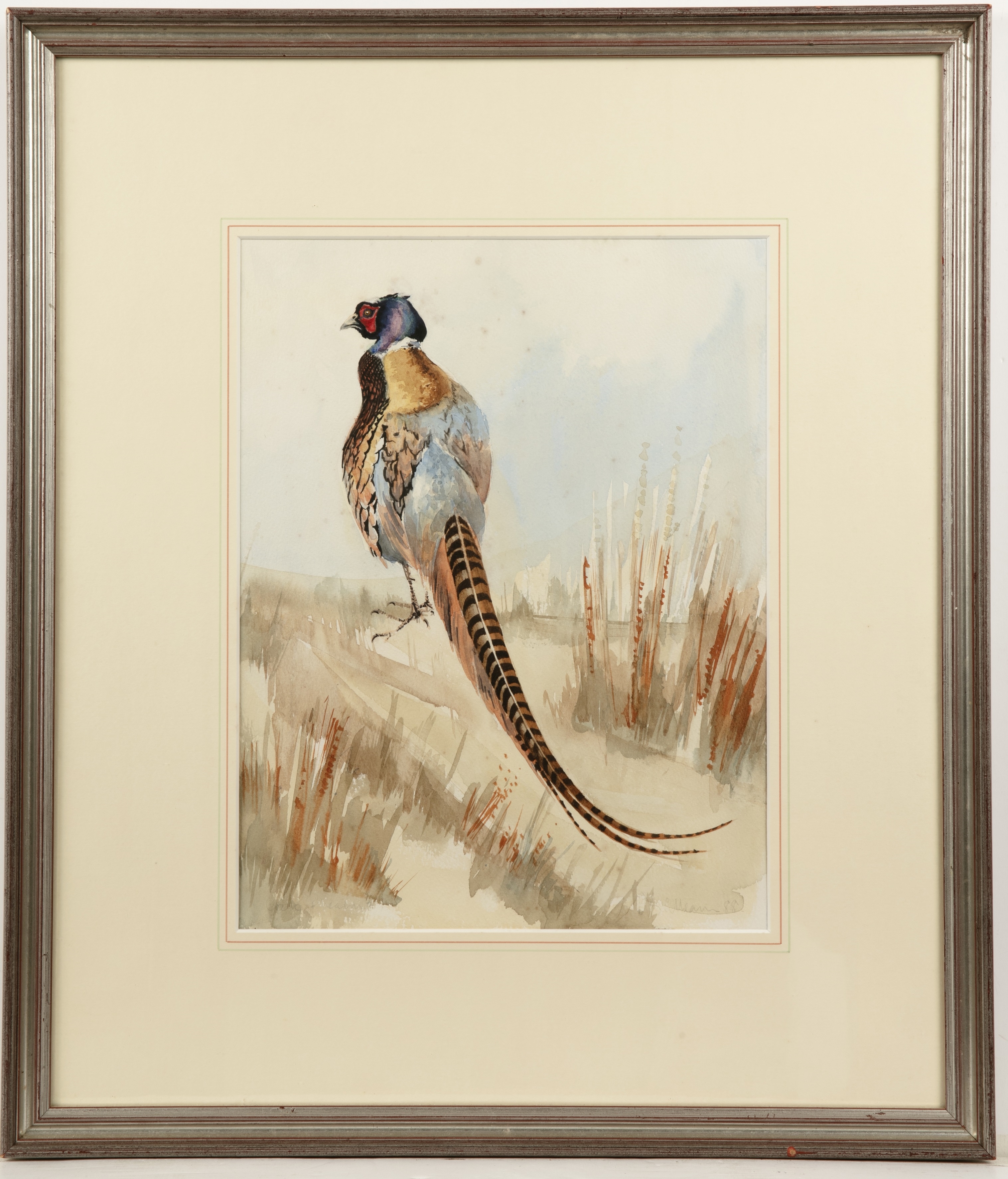 Artwork by David Cullearn, A pheasant in a landscape setting, Made of watercolour