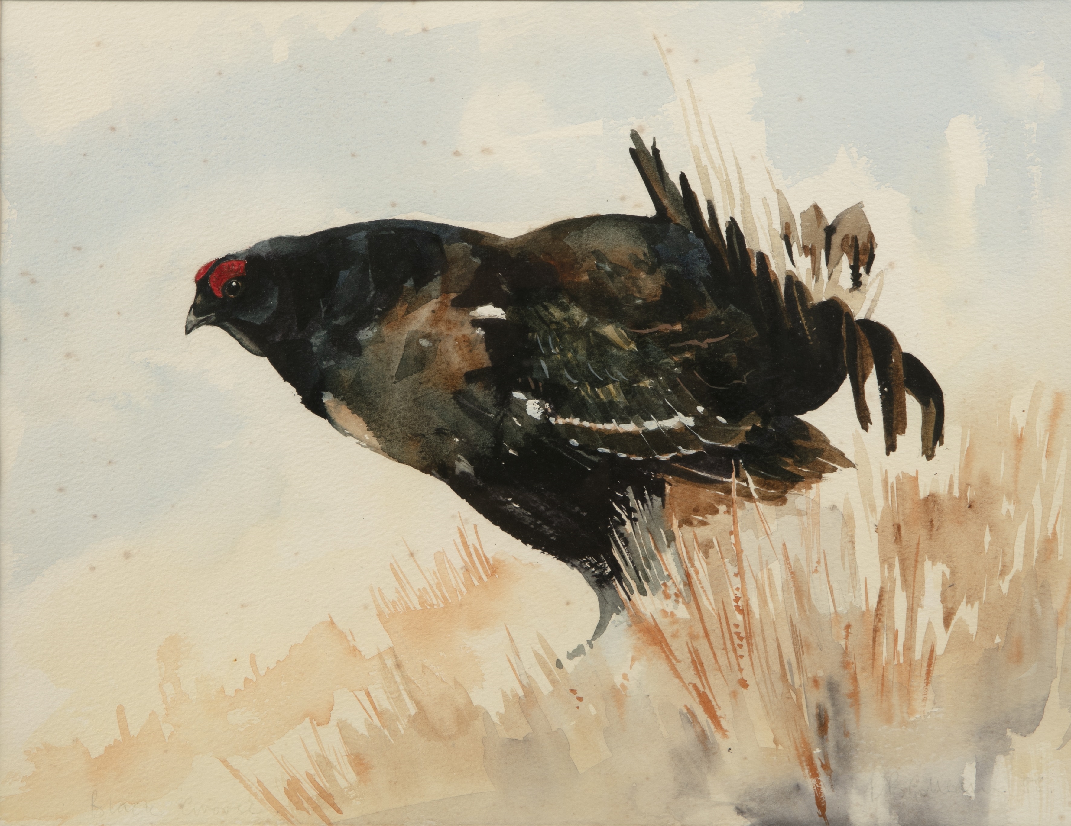 Artwork by David Cullearn, A pheasant in a landscape setting, Made of watercolour