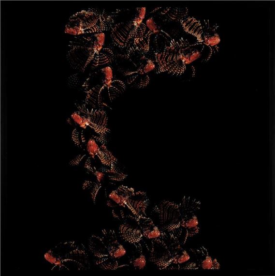 Ballet by Marco Schifano, 2016