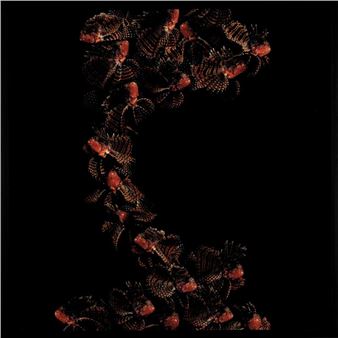 Ballet - Marco Schifano