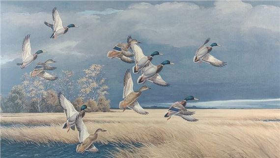 Maynard Reece | Maynard Reece Signed Dark Sky-Mallards Duck Print ...