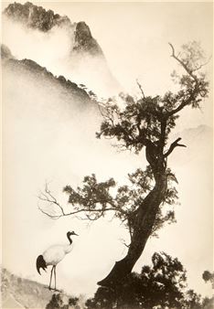 JinShan Lang - Framed Photograph Spring Fantasia by JinShan Long