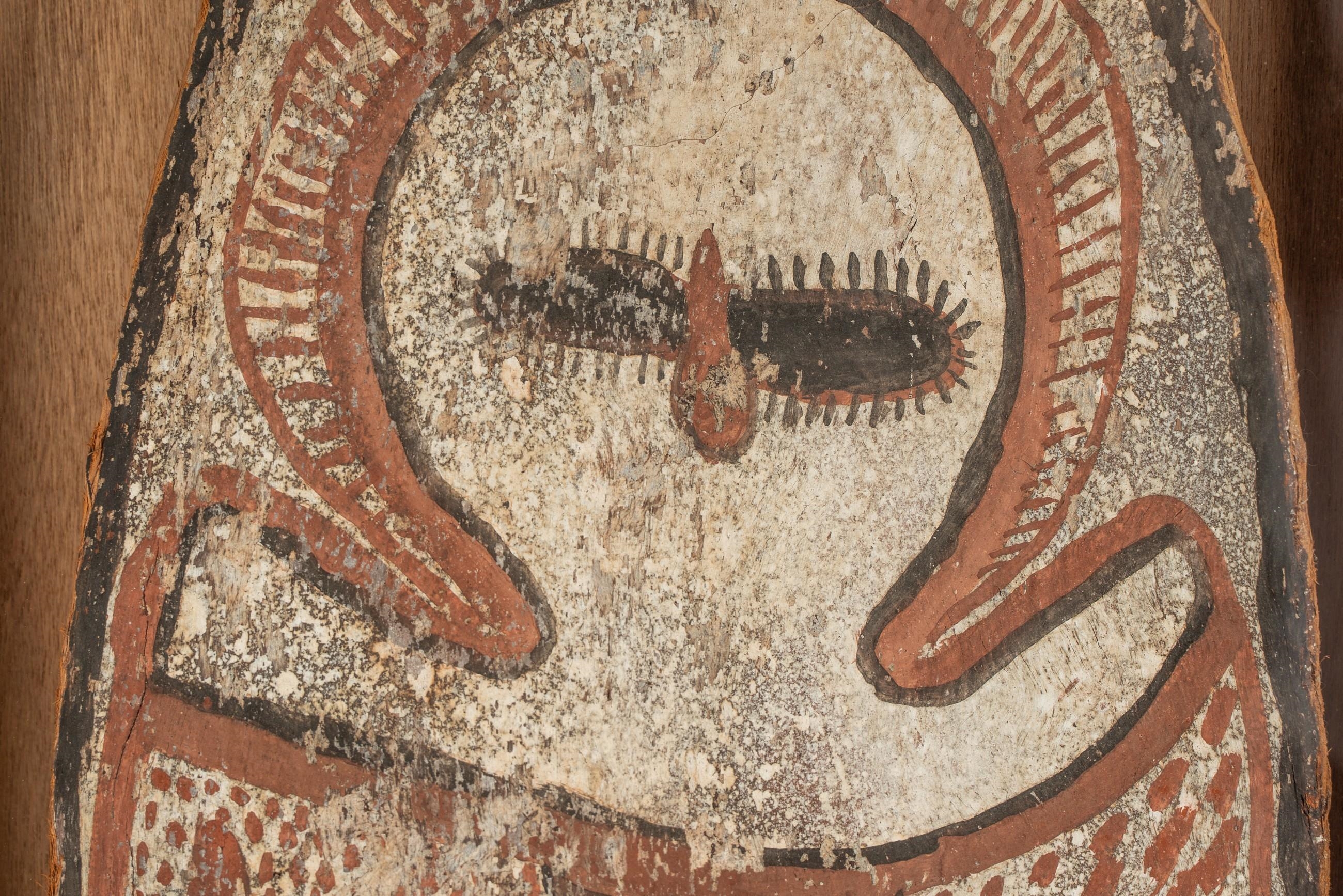 Artwork by Alec Mingelmanganu, Wandjina Figure, Made of earth pigments on eucalyptus bark