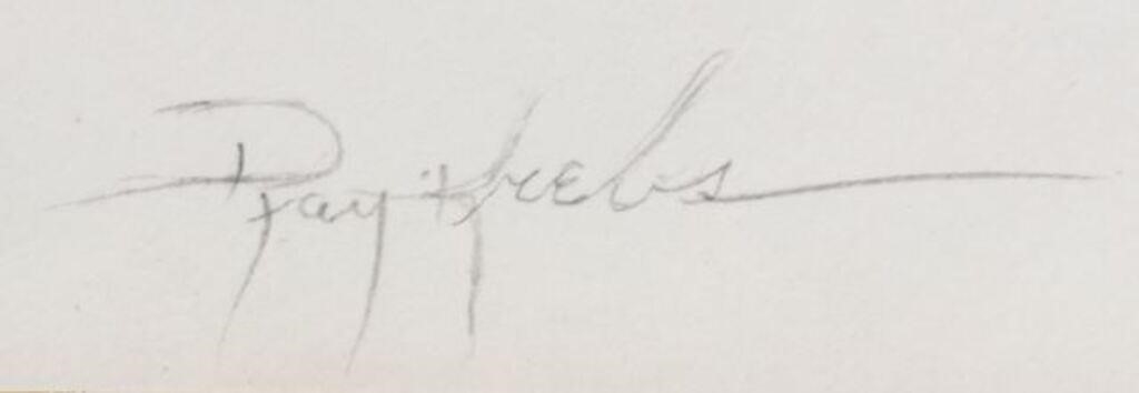 Artwork by Ray Krebs, Quarter Horse with Rope Halter, Made of mixed media drawing on paper