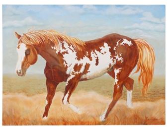 Challenger - Ray Krebs