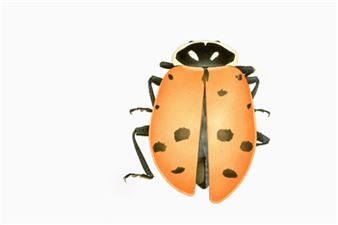 Impact - EAC, Espace de l’Art Concret, Mouans-Sartoux