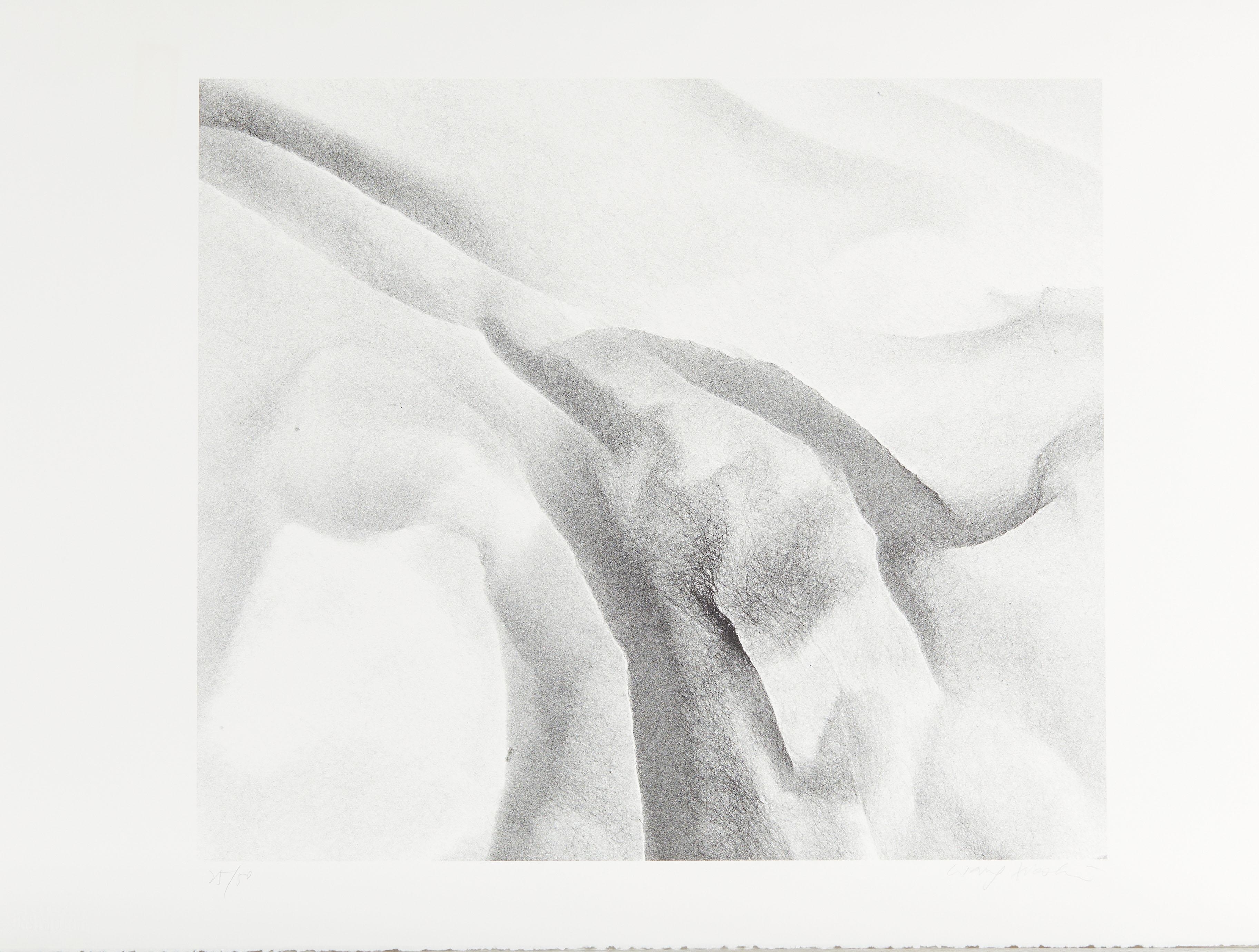 Xiao Hui Wang | Nano (1957) | MutualArt