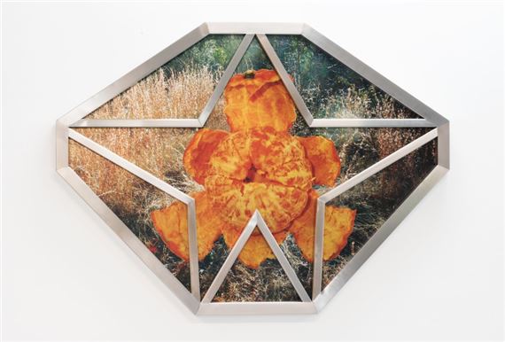 Studios: 2023 - Adelaide Contemporary Experimental (ACE)