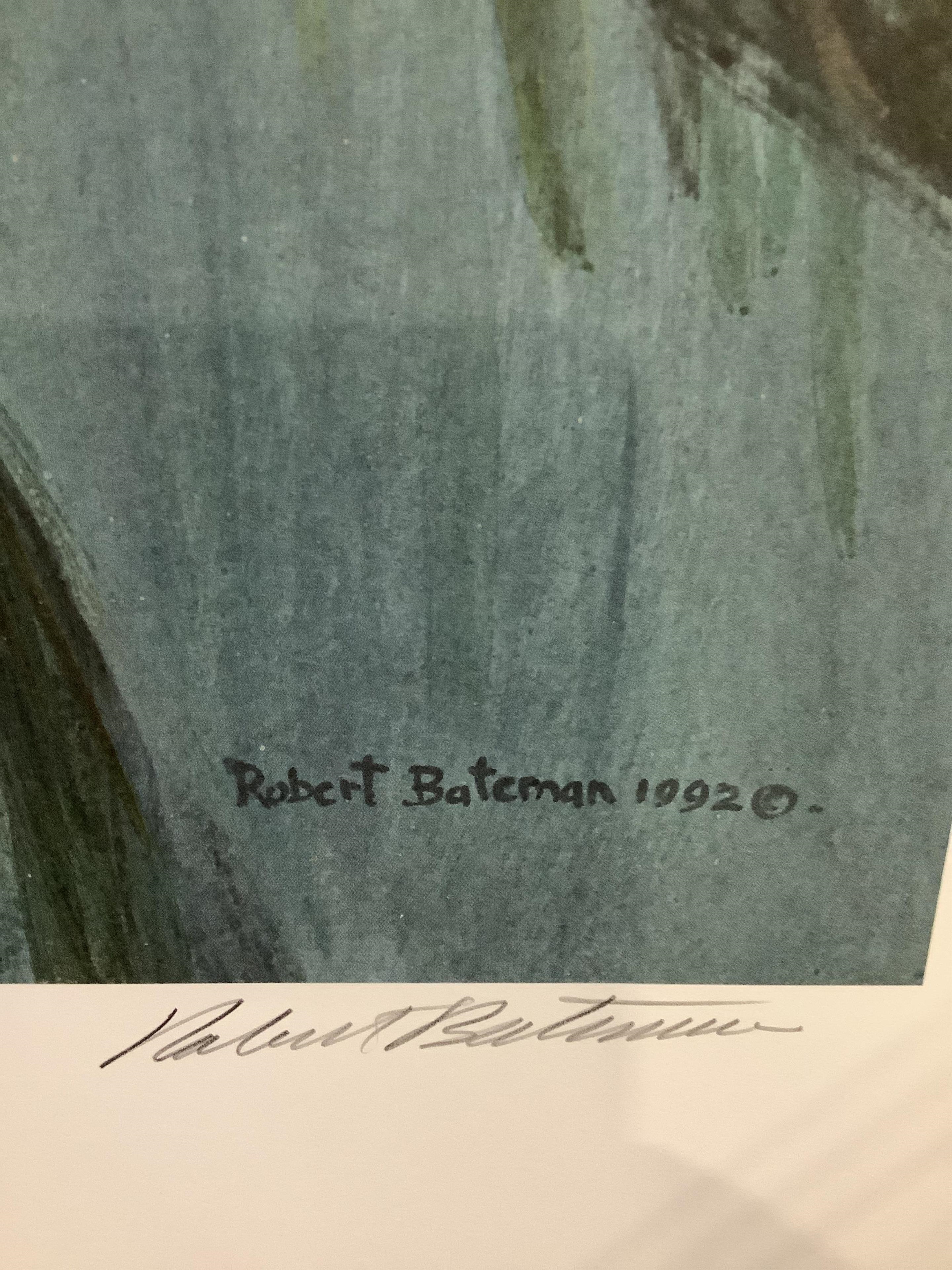 Robert McLellan Bateman | Shadow of the rainforest | MutualArt