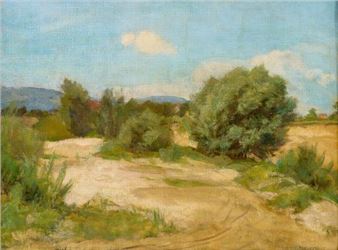 Partie an der Birs im Baselgebiet mit baumbestandenem Ufer - Hermann Meyer