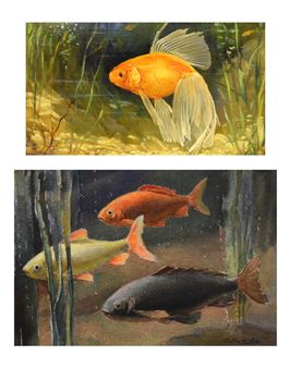 - Three fish underwater - Arthur Wilson Gay