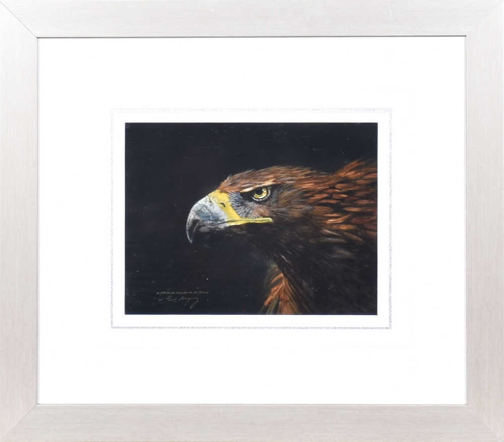 Paul Margocsy | Australian Wedge Tailed Eagle | MutualArt