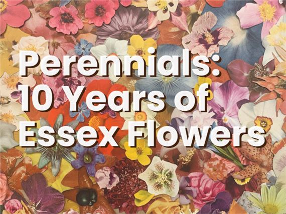 Perennials: 10 Years of Essex Flowers - Essex Flowers