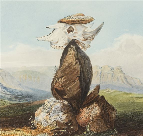 Karl Bodmer | BODMER (1839) | MutualArt