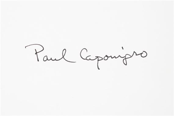 Paul Caponigro | Megaliths | MutualArt