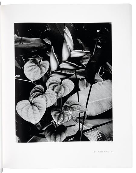 Brett Weston | Brett Weston: A Personal Selection (1986) | MutualArt