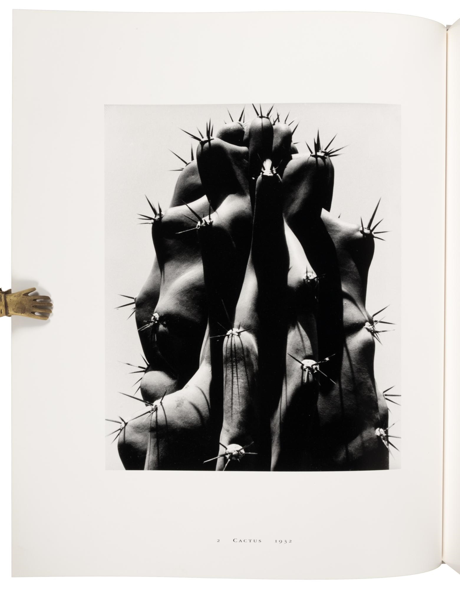 Brett Weston | Brett Weston Master Photographer (1989) | MutualArt