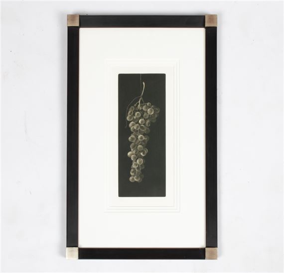 Judith Rothchild | GRAPES | MutualArt