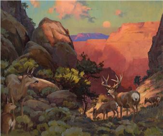 Last Light in Canyon Passage – Southwest Mule Deer - Kenn Erroll Backhaus