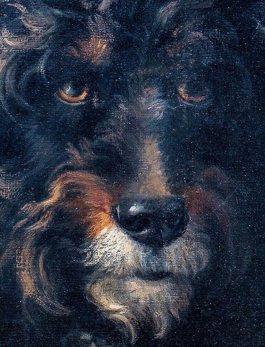 Artwork by Lewis Dorey, PORTRAIT OF A DOG POODLE LEWIS, Made of oil on canvas