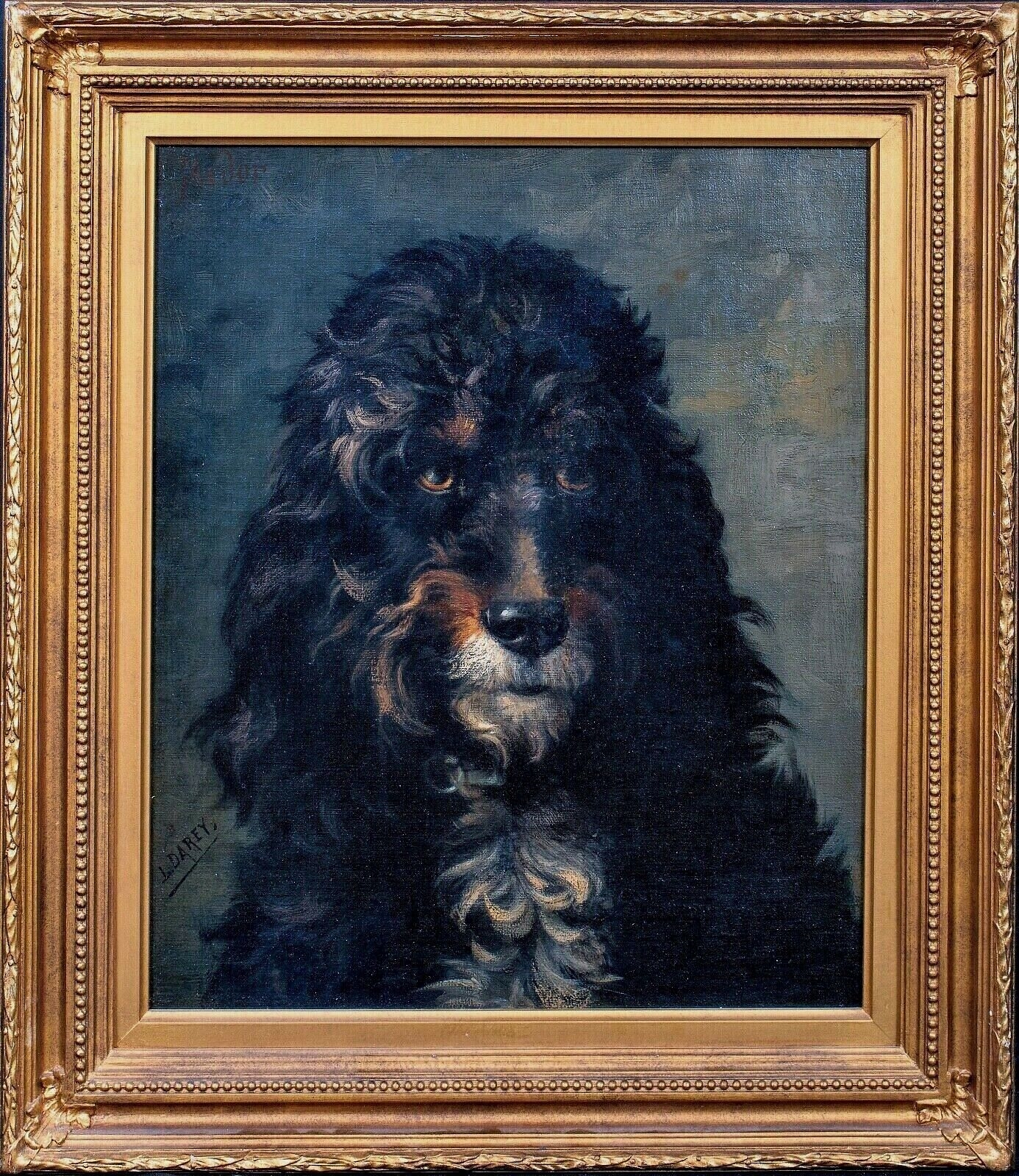 Artwork by Lewis Dorey, PORTRAIT OF A DOG POODLE LEWIS, Made of oil on canvas