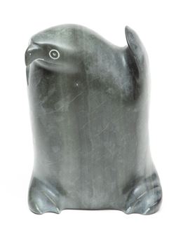 Owl - Lucassie Meeko